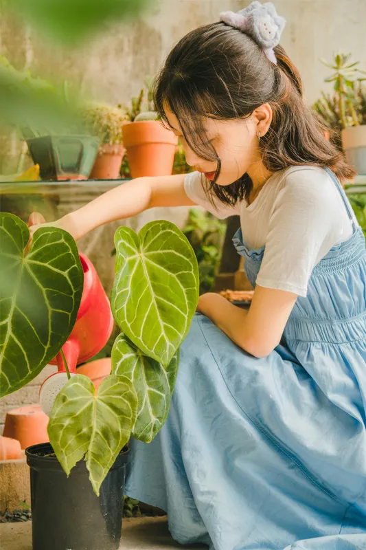 Young woman in blue overalls tending to lush green houseplants including anthurium and pothos on a sunlit patio