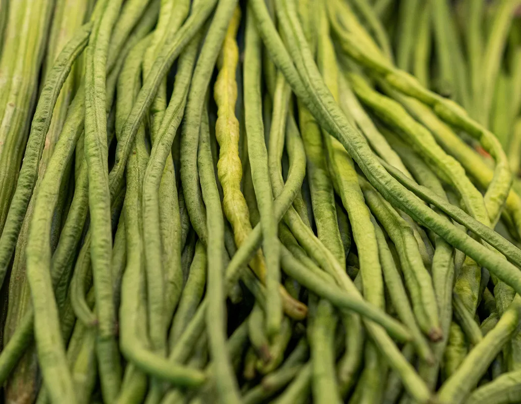 Close-up of fresh green yardlong beans showing their long slender shape and vibrant green texture