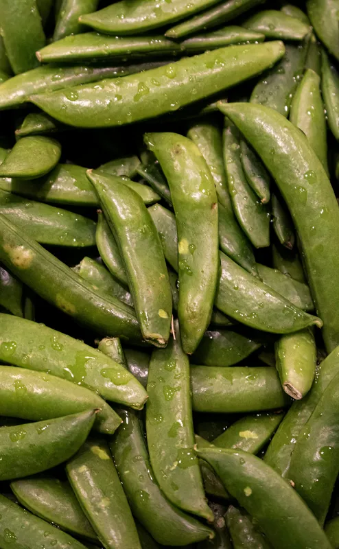 Fresh snow pea pods covered in water droplets, bright green and glistening against a natural background