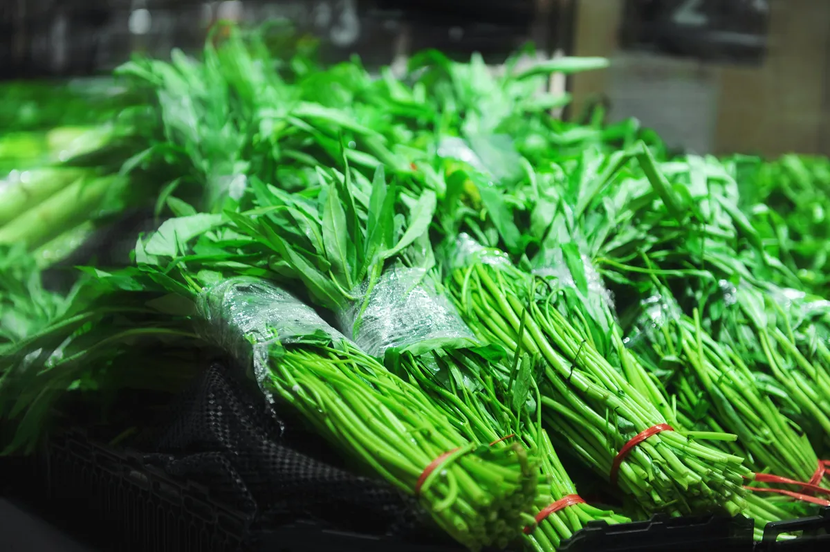 Fresh bunches of water spinach with long green leaves and pale stems bundled together at an Asian market