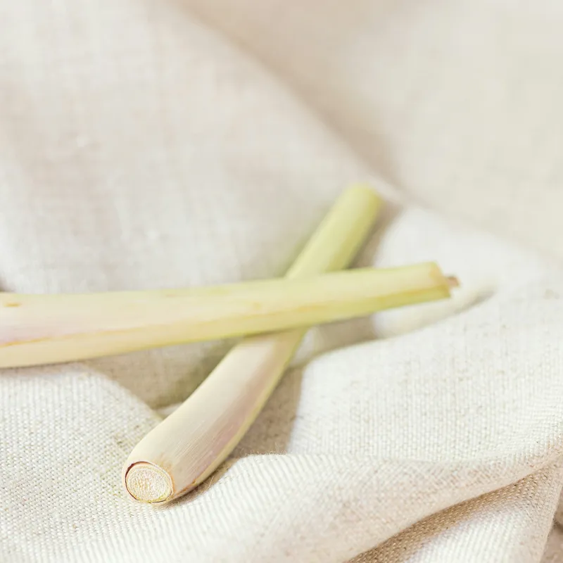 Fresh lemongrass stalks with trimmed ends resting on a natural linen cloth
