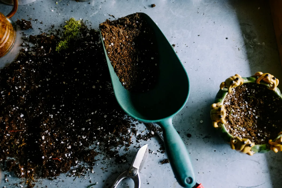 Green garden scoop filled with dark potting soil on a gray surface, surrounded by soil mix and a small planted succulent