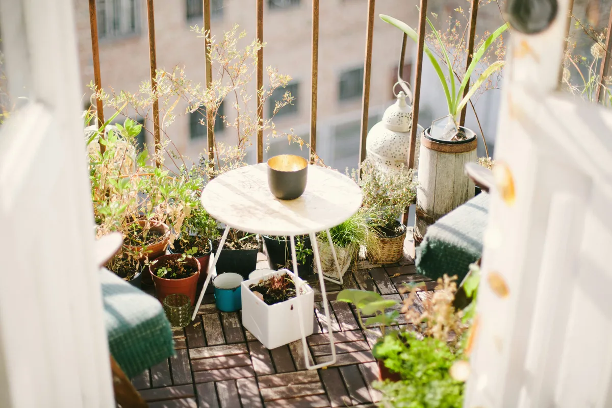 Multiple potted houseplants arranged on a sunny outdoor terrace with golden hanging chains and a white side table