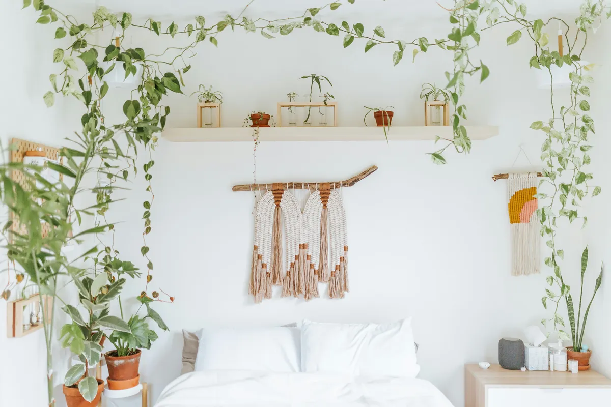 Bright boho bedroom filled with trailing pothos vines, potted houseplants on shelves, and terracotta planters — a cozy plant-filled home interior