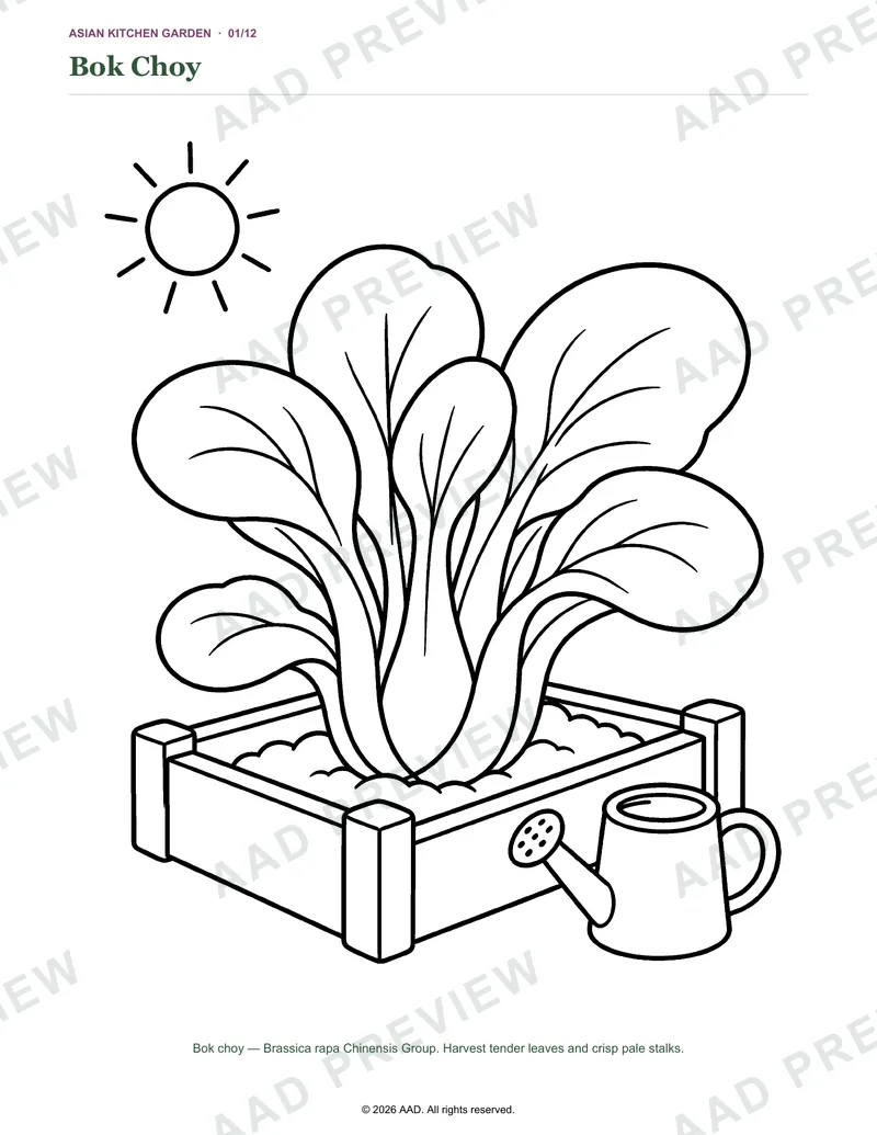 Watermarked preview of the Bok Choy coloring page