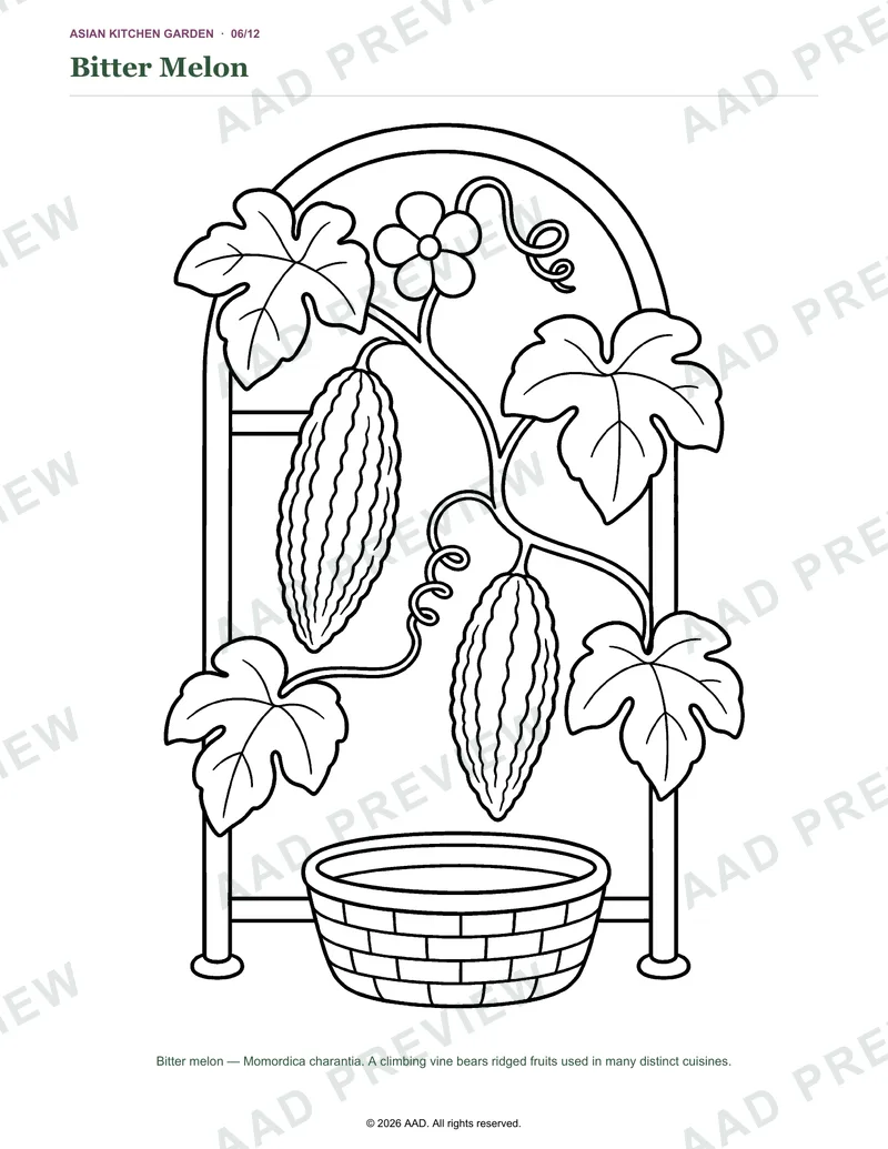 Watermarked preview of the Bitter Melon coloring page