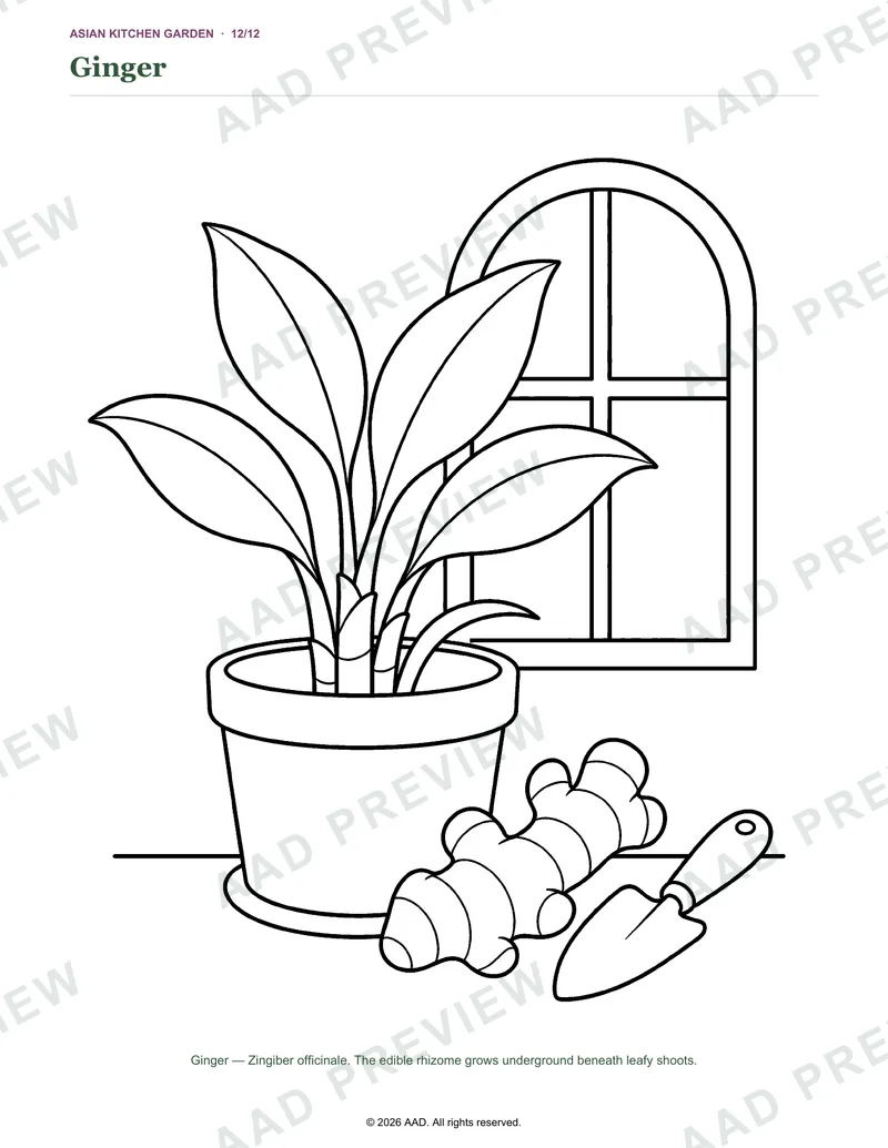 Watermarked preview of the Ginger coloring page
