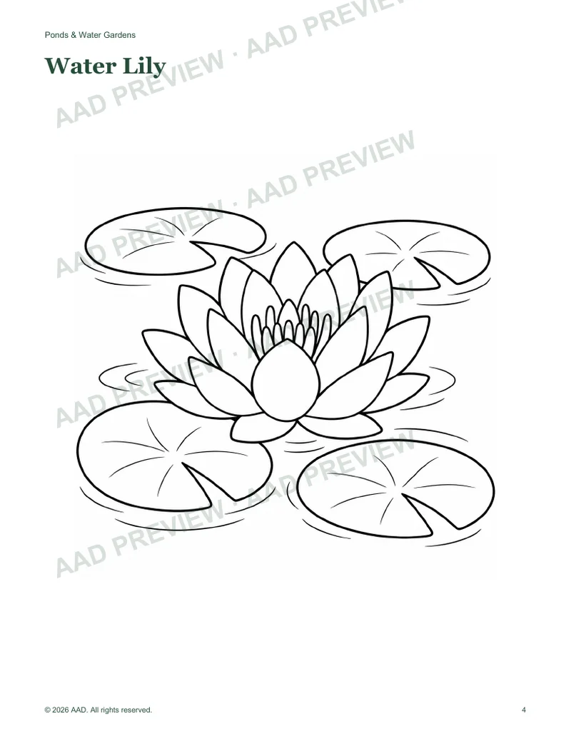 Watermarked water-lily coloring page